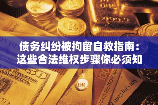 武汉债务纠纷被拘留自救指南：这些合法维权步骤你必须知道！